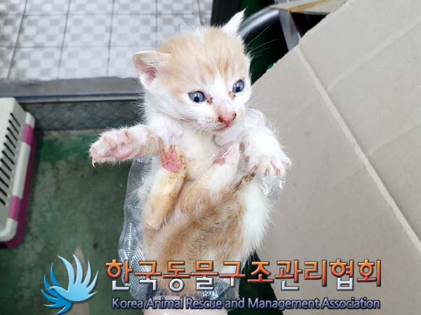 한국동물구조관리협회_441559202300375