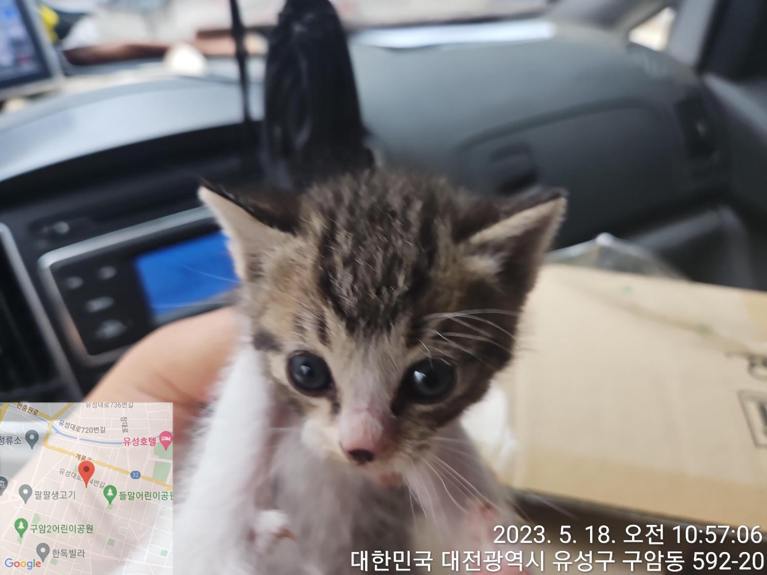 대전동물보호센터_430367202300294
