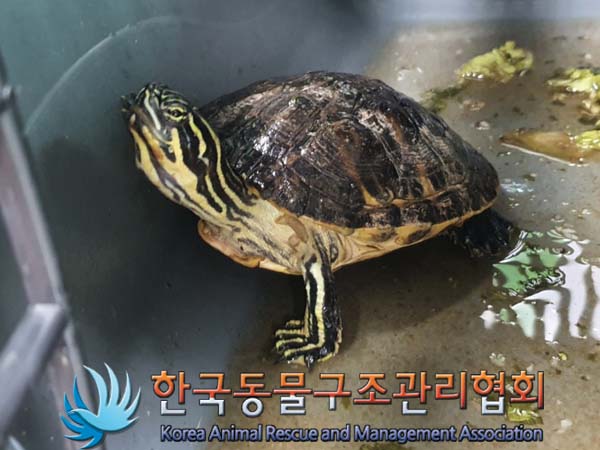 한국동물구조관리협회_411311202300371