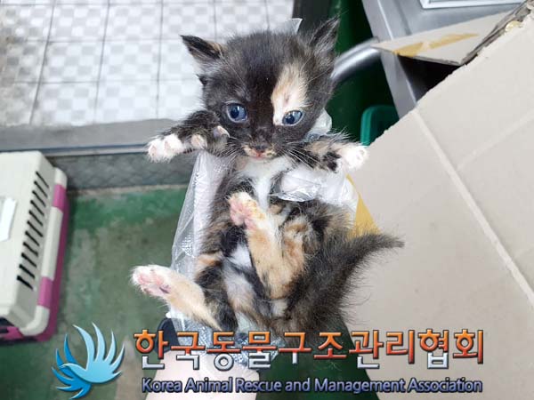 한국동물구조관리협회_441559202300376