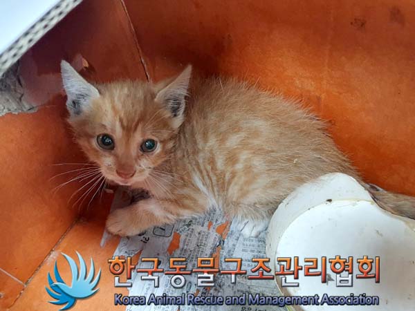 한국동물구조관리협회_411304202300329