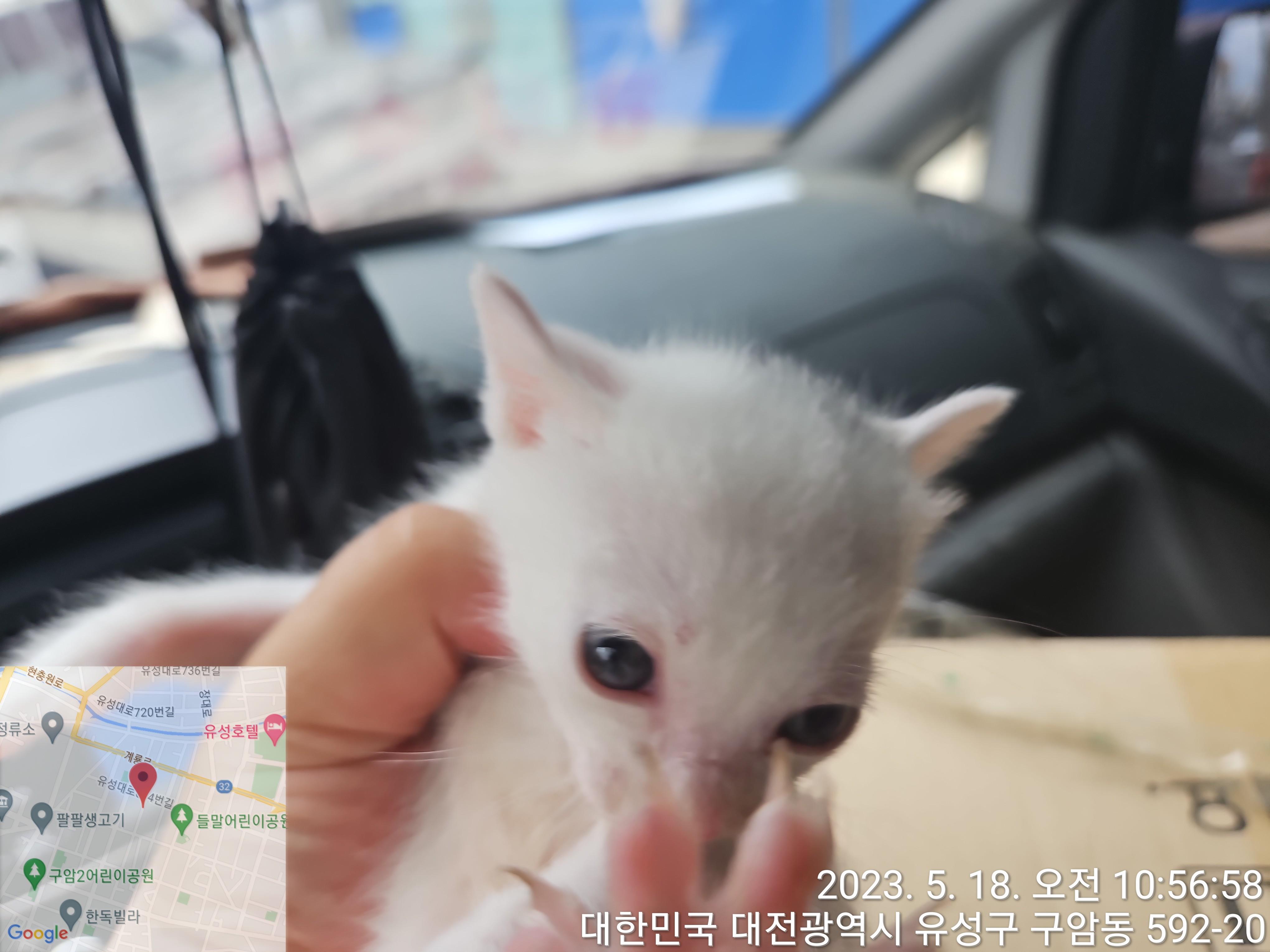 대전동물보호센터_430367202300293