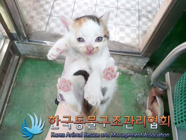 한국동물구조관리협회_441560202300604