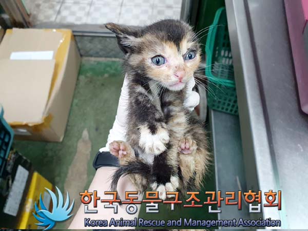 한국동물구조관리협회_411311202300370