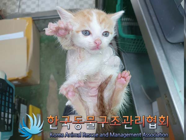 한국동물구조관리협회_411305202300230
