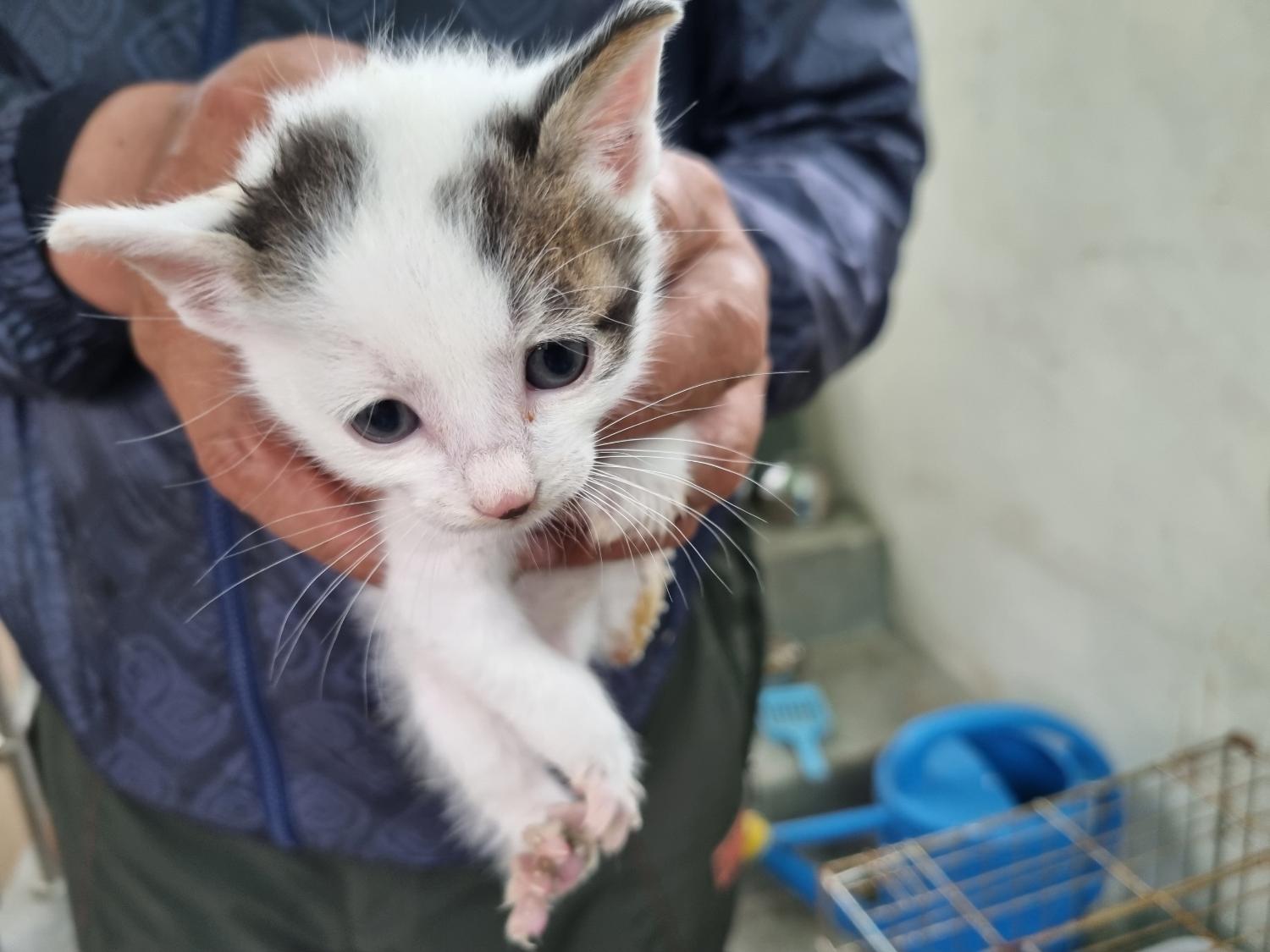 양산시 동물보호센터_448538202300281