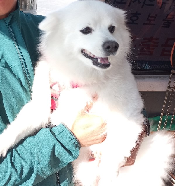 인천광역시수의사회_428353202300645