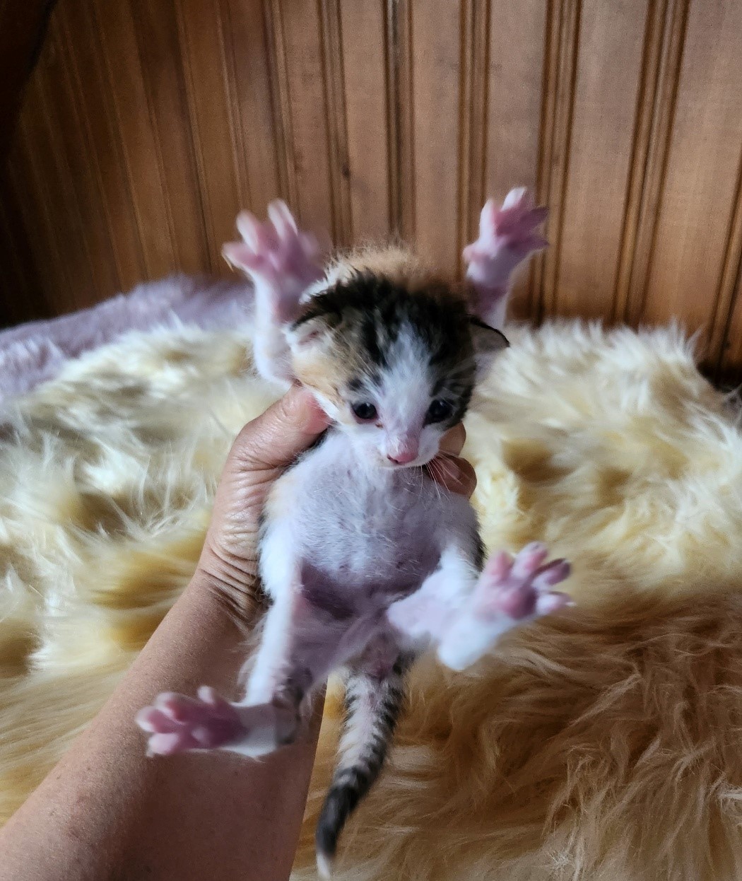 울산유기동물보호센터_431372202300212
