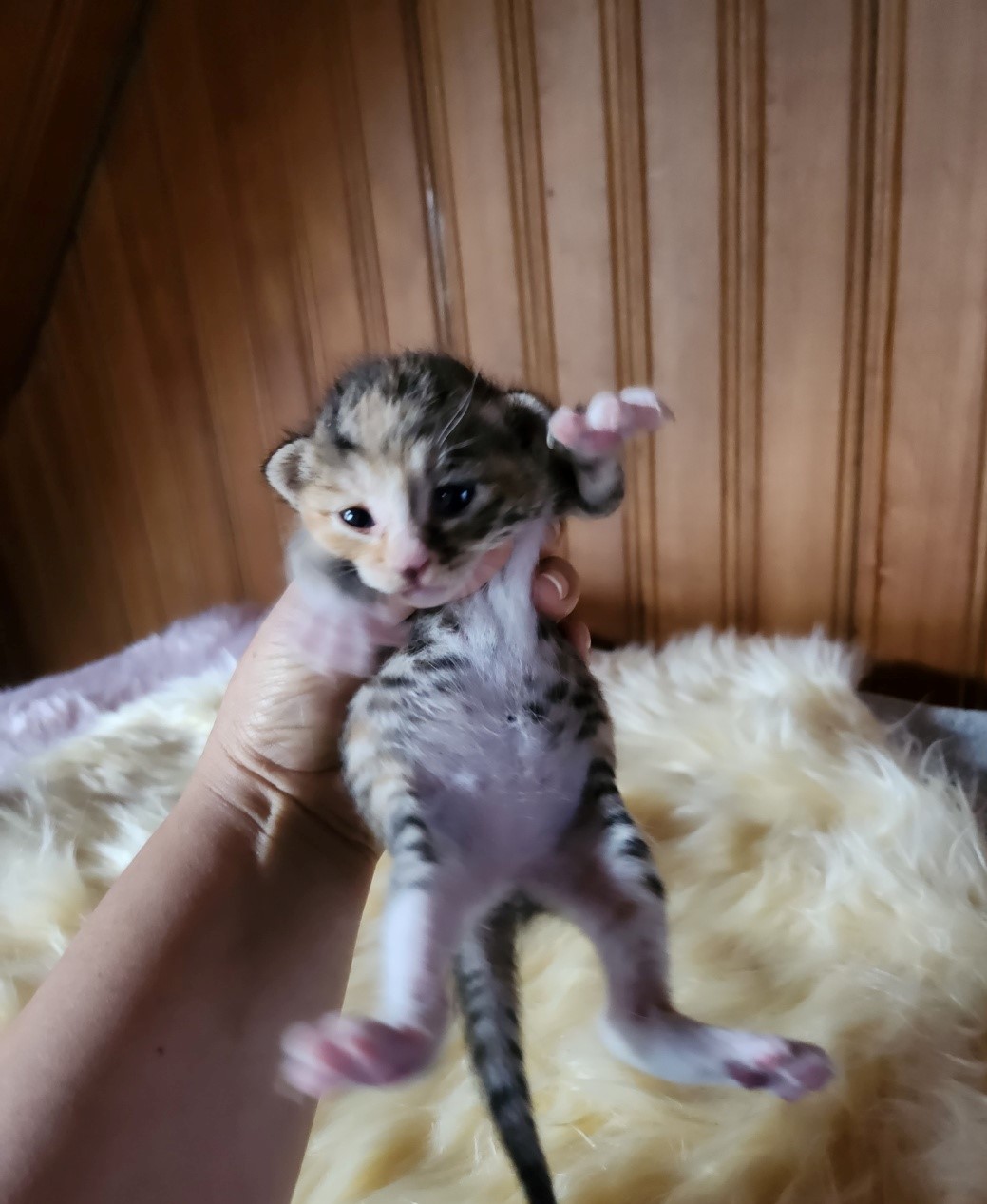울산유기동물보호센터_431372202300211