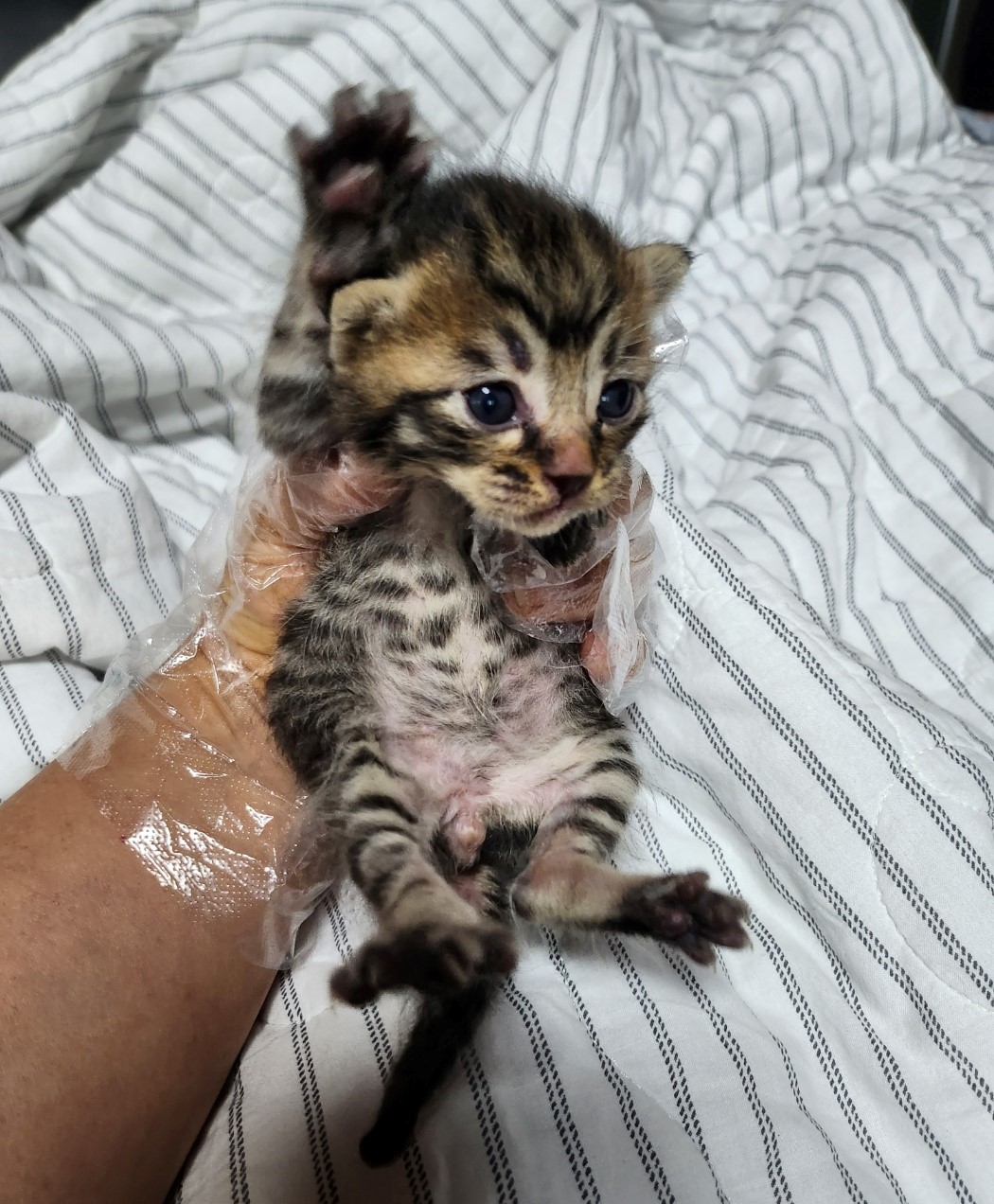 울산유기동물보호센터_431372202300210