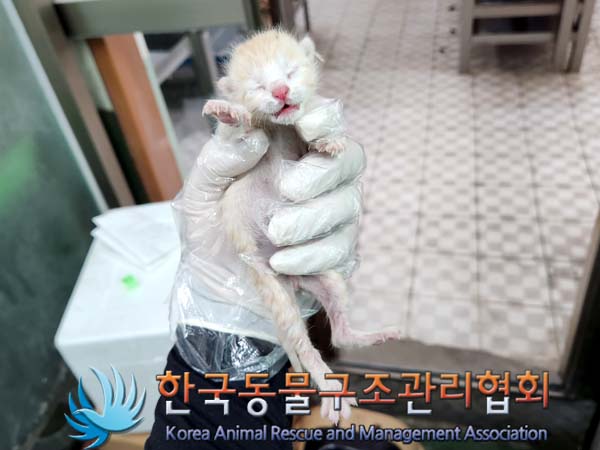 한국동물구조관리협회_411315202300341