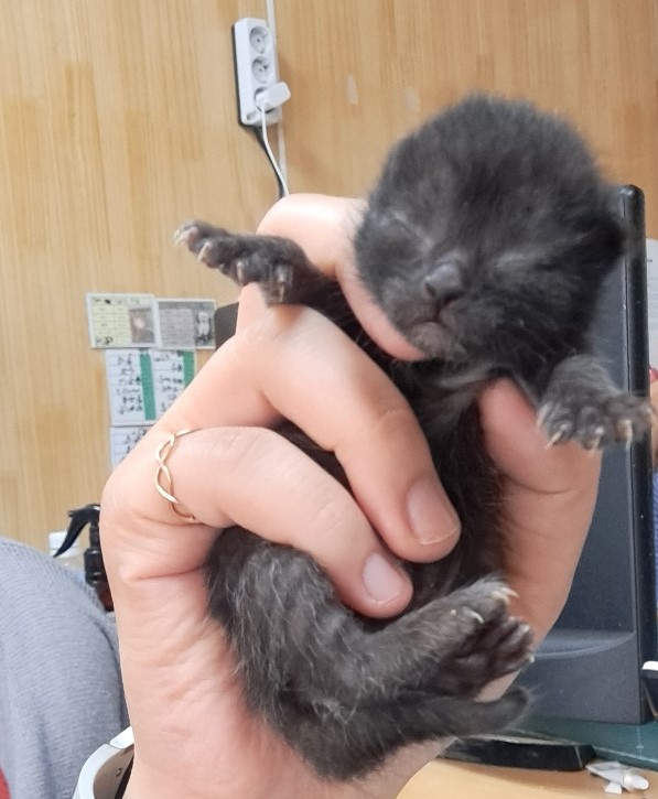 울산유기동물보호센터_431372202300220