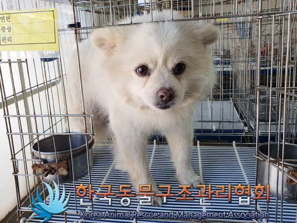 한국동물구조관리협회_411300202300175
