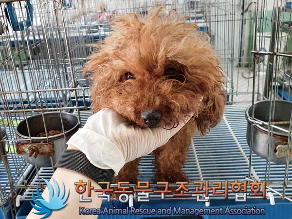 한국동물구조관리협회_411312202300326