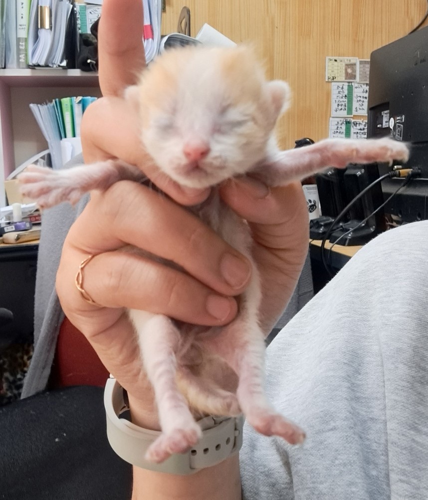울산유기동물보호센터_431372202300216