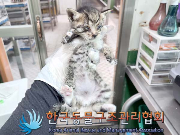 한국동물구조관리협회_411323202300422