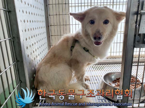 한국동물구조관리협회_411315202300340