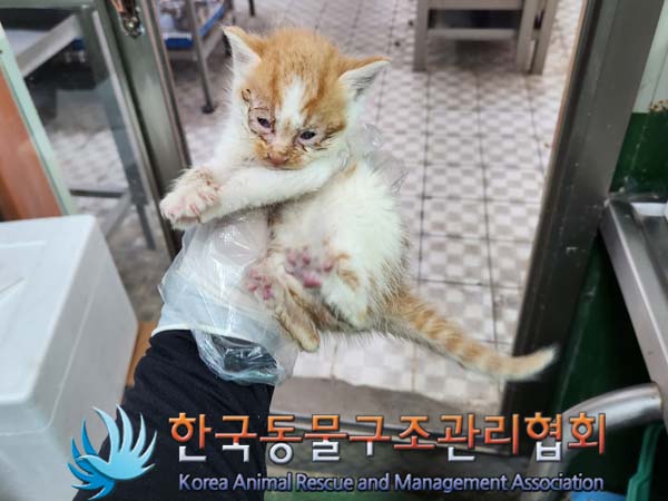 한국동물구조관리협회_411323202300425