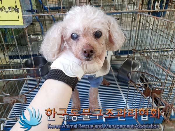 한국동물구조관리협회_411310202300221
