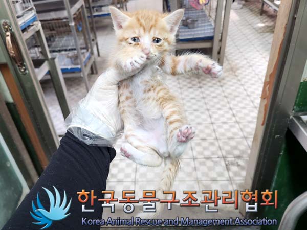 한국동물구조관리협회_441560202300618