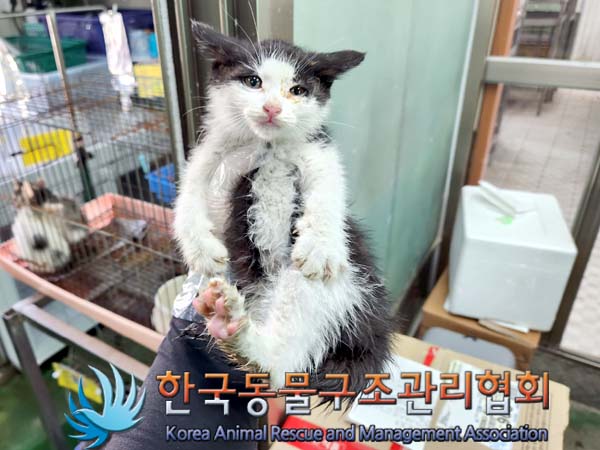 한국동물구조관리협회_411316202300326