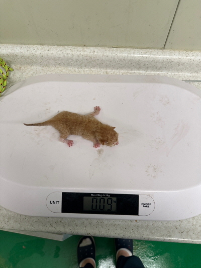누리동물병원_426340202300122