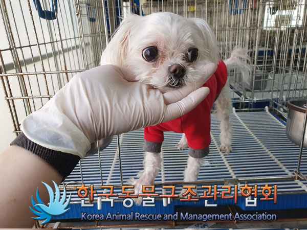 한국동물구조관리협회_411323202300437
