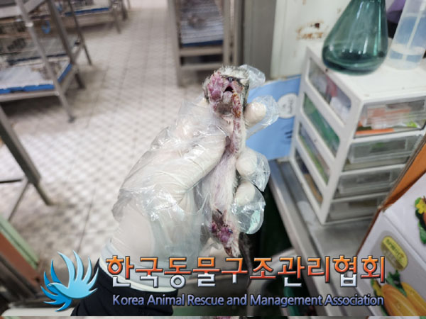 한국동물구조관리협회_411306202300364