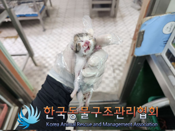 한국동물구조관리협회_411306202300363