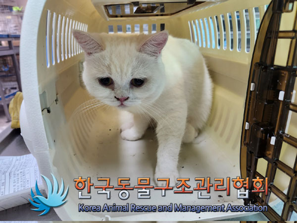 한국동물구조관리협회_441409202300762