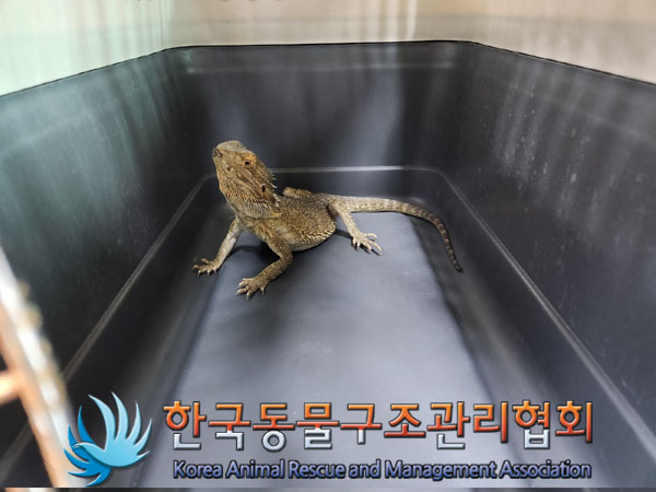 한국동물구조관리협회_411309202300196