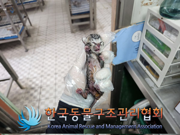 한국동물구조관리협회_411306202300361