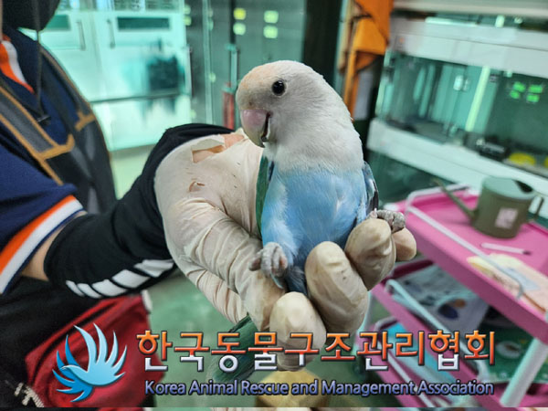 한국동물구조관리협회_411315202300343