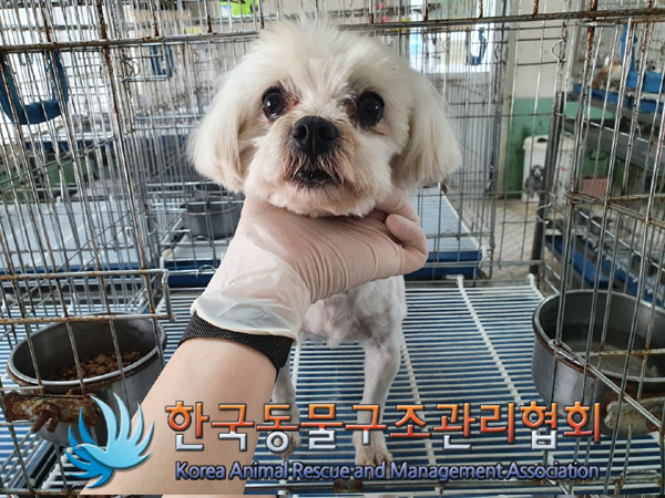 한국동물구조관리협회_411316202300328