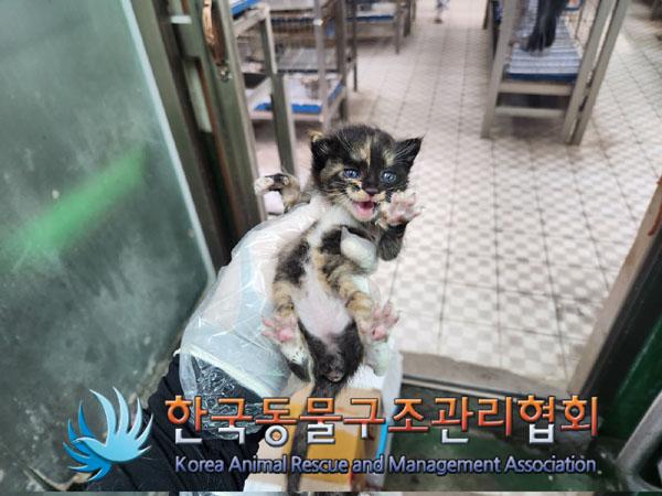 한국동물구조관리협회_411304202300331