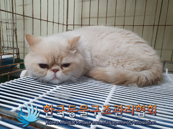 한국동물구조관리협회_411318202300233