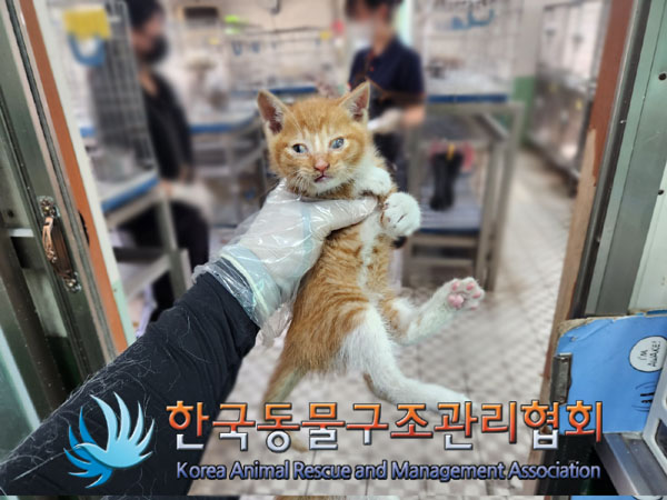 한국동물구조관리협회_441559202300381