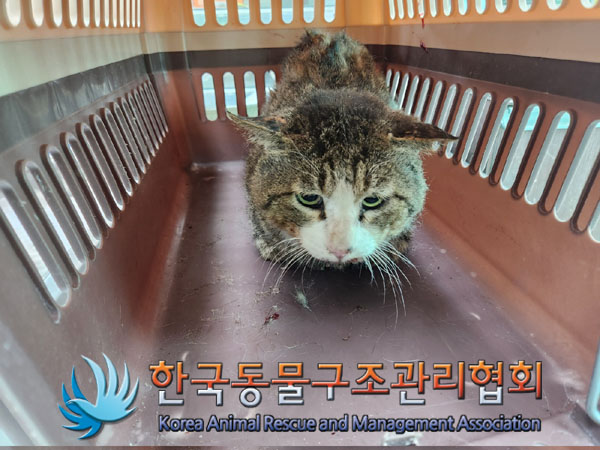 한국동물구조관리협회_411303202300206