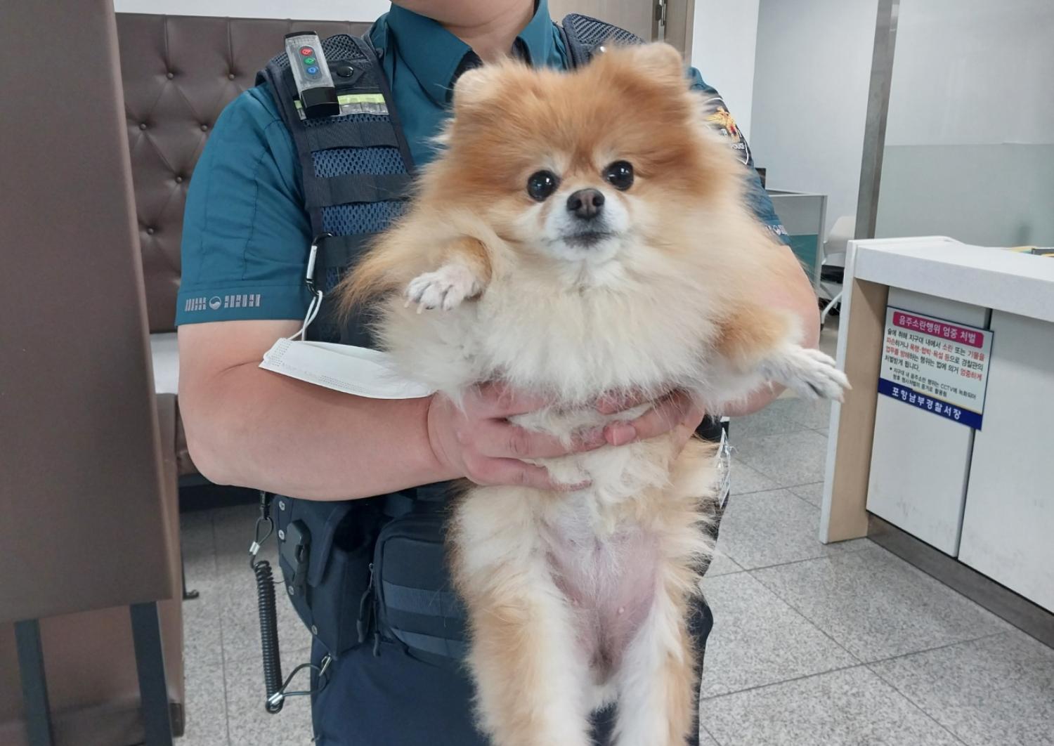 (사)영일동물플러스_447502202300497