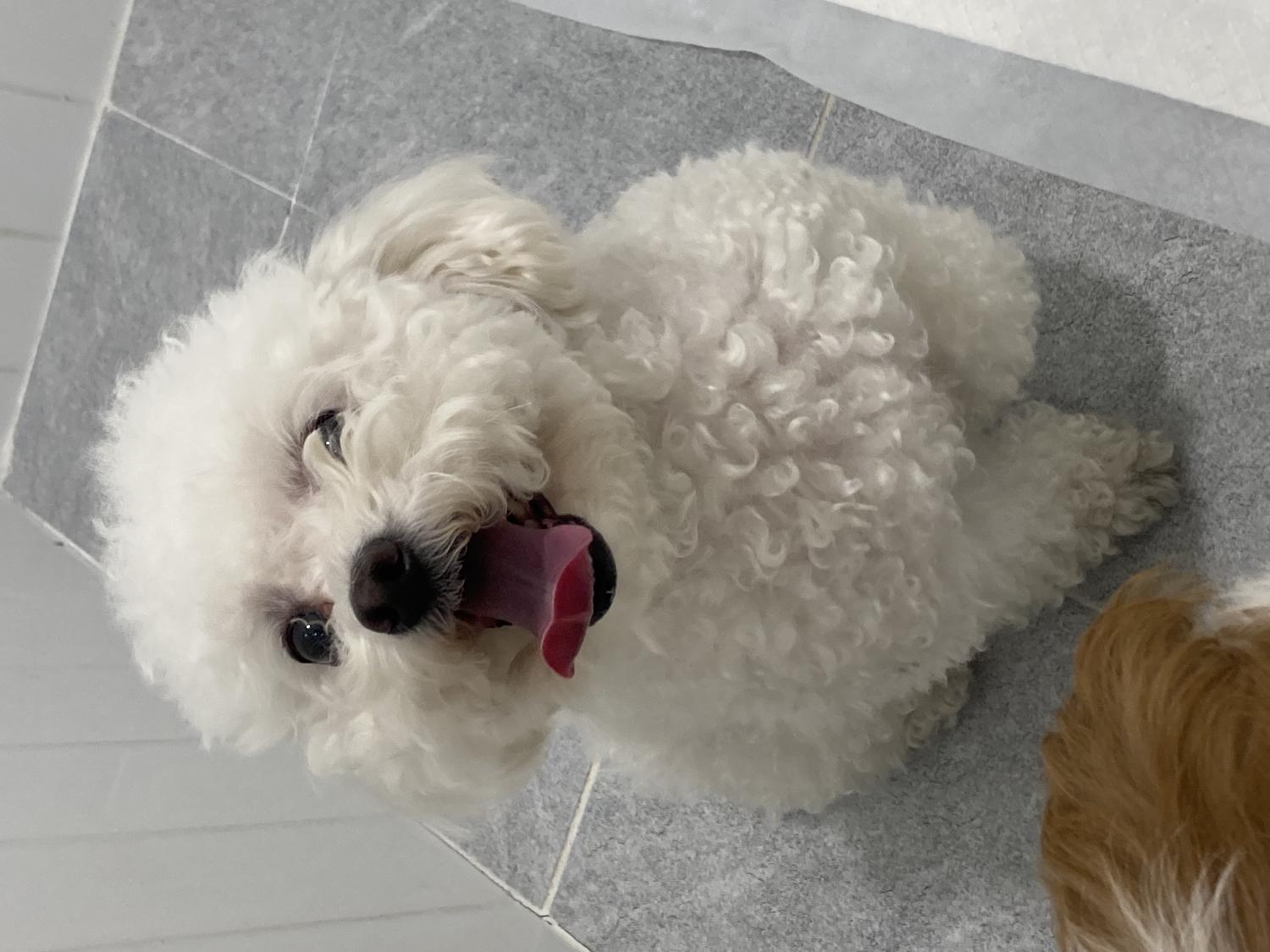 노원반려동물문화센터_411310202300229