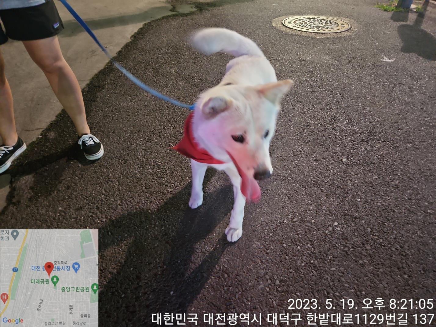 대전동물보호센터_430368202300262
