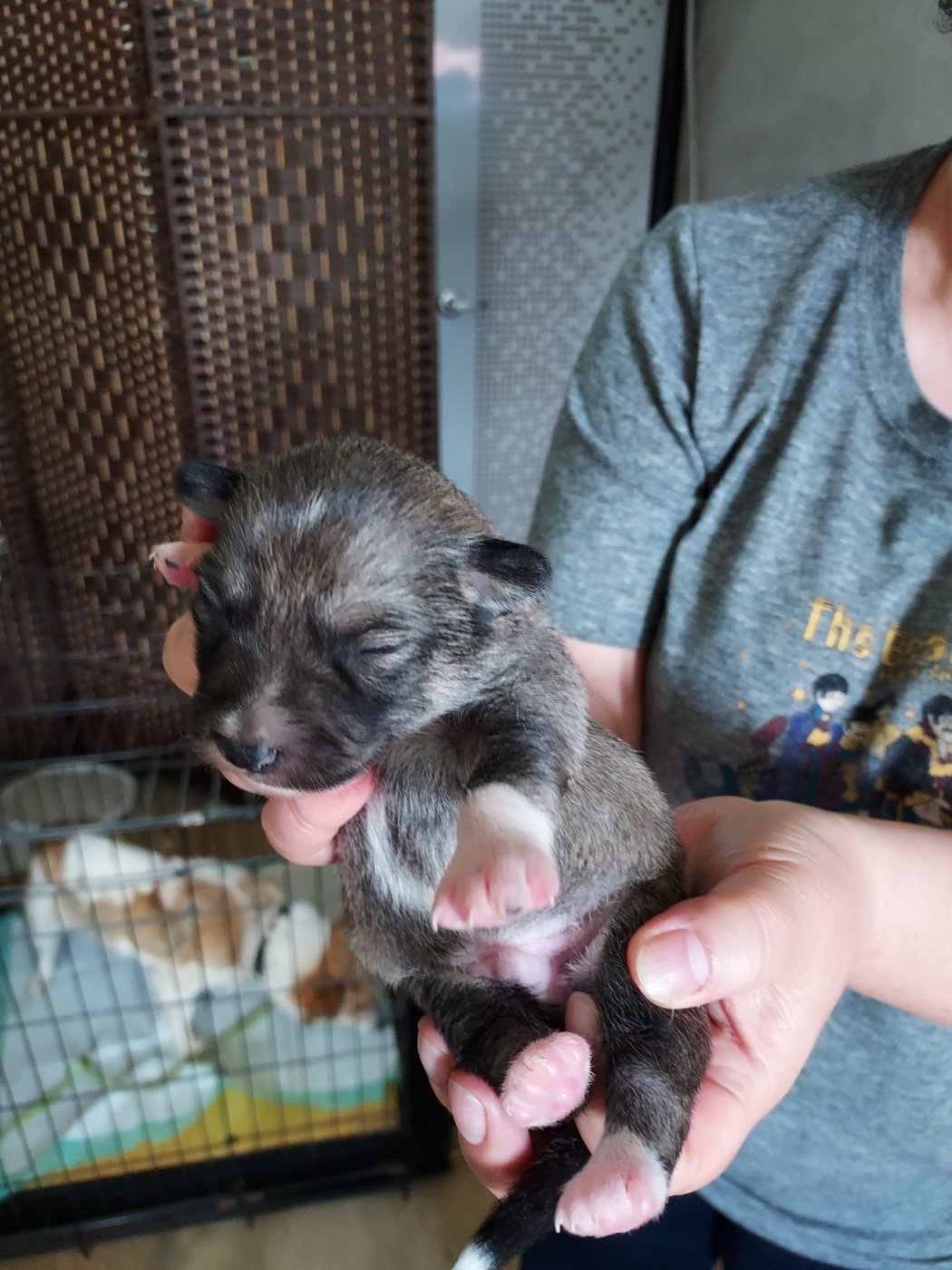 인월동물병원_445470202300440