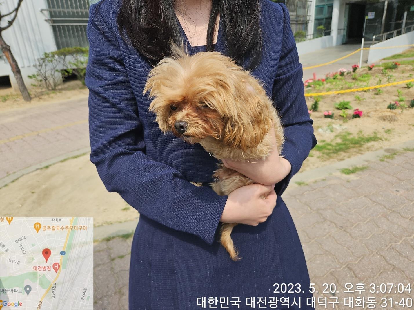 대전동물보호센터_430368202300263
