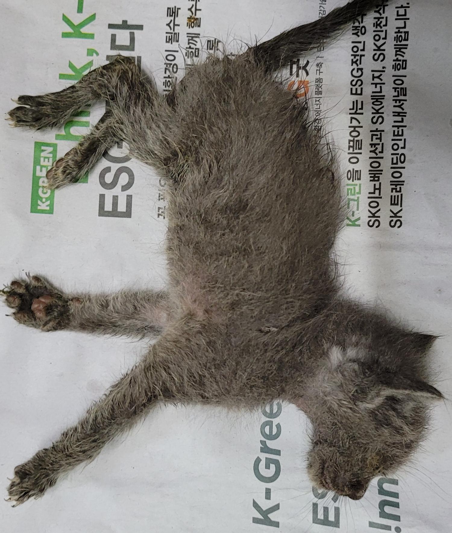 대구유기동물보호협회_427344202300152