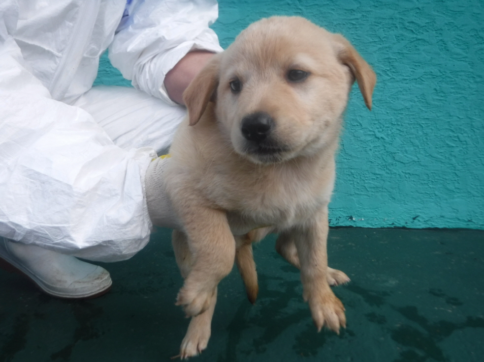 제주 동물보호센터_450650202301655