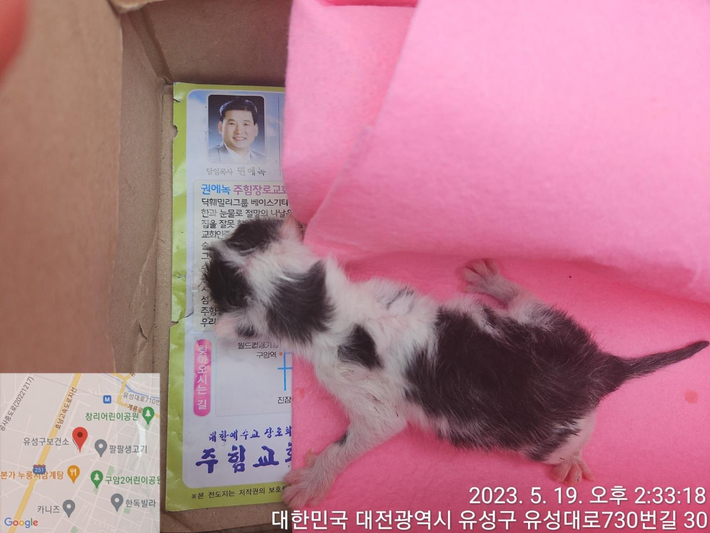 대전동물보호센터_430367202300309