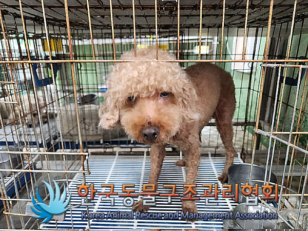 한국동물구조관리협회_411311202300372