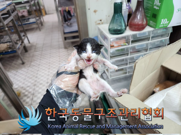 한국동물구조관리협회_411316202300332