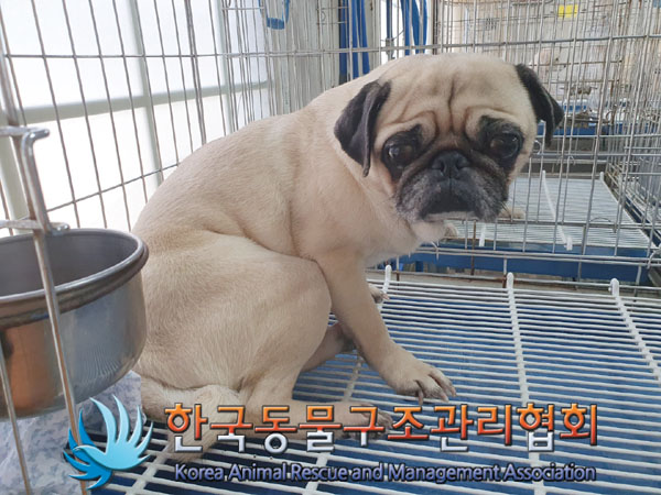 한국동물구조관리협회_411312202300334