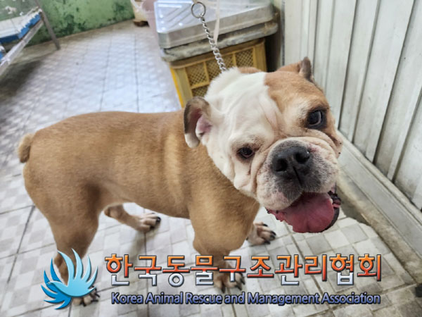한국동물구조관리협회_411306202300371
